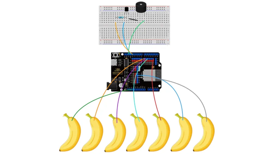 תרשים חיבורים מפורט: לוח ESP32 עם ברדבורד ועליו זמזם וטרנזיסטור, ושבעה חוטים צבעוניים היוצאים מהלוח לשבע בננות המסודרות בשורה