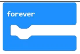 אבן forever